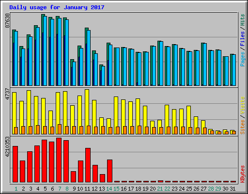 Daily usage for January 2017