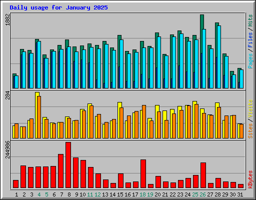 Daily usage for January 2025