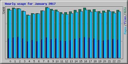 Hourly usage for January 2017