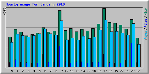 Hourly usage for January 2018