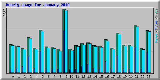 Hourly usage for January 2019