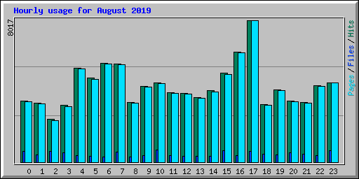 Hourly usage for August 2019