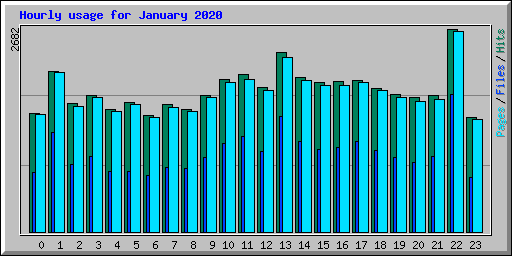 Hourly usage for January 2020