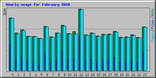 Hourly usage for February 2020
