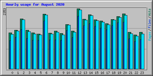 Hourly usage for August 2020