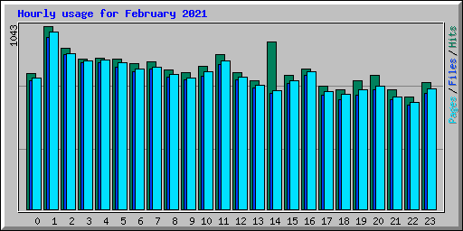 Hourly usage for February 2021