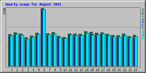 Hourly usage for August 2021
