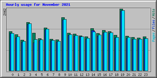Hourly usage for November 2021