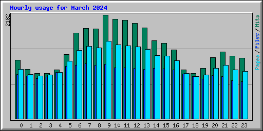 Hourly usage for March 2024