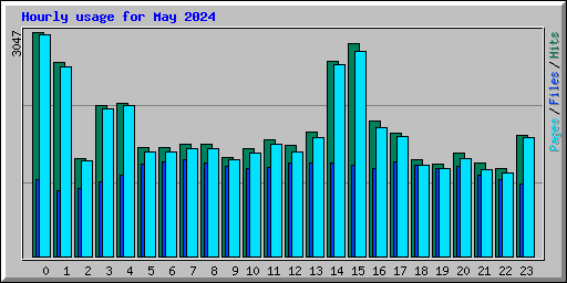 Hourly usage for May 2024