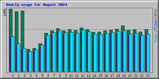 Hourly usage for August 2024