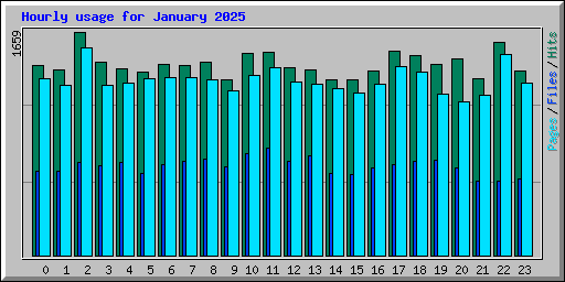 Hourly usage for January 2025