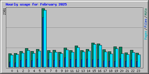 Hourly usage for February 2025