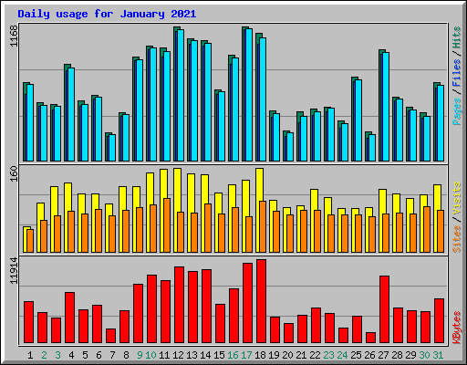 Daily usage for January 2021