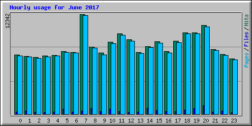 Hourly usage for June 2017