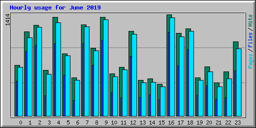 Hourly usage for June 2019