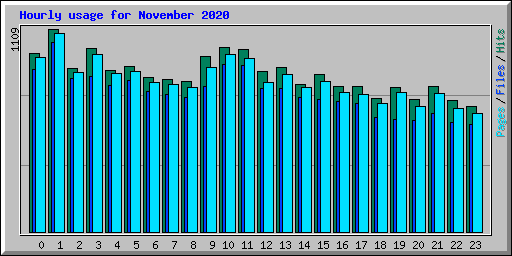 Hourly usage for November 2020