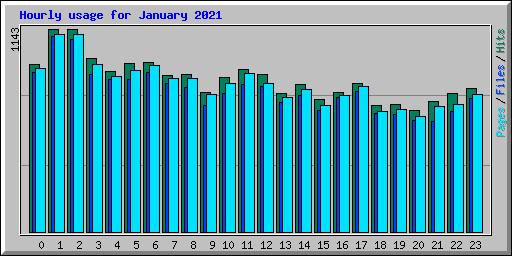Hourly usage for January 2021