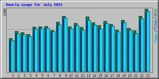 Hourly usage for July 2021