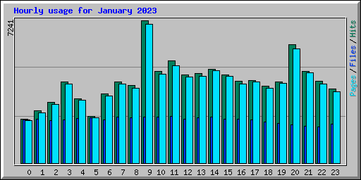 Hourly usage for January 2023