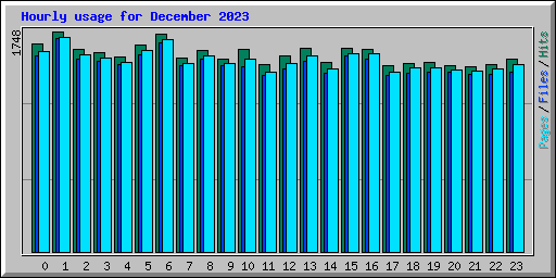 Hourly usage for December 2023