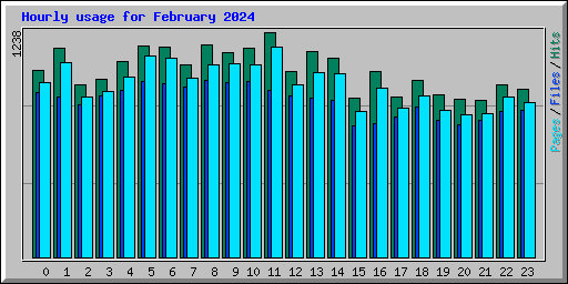 Hourly usage for February 2024