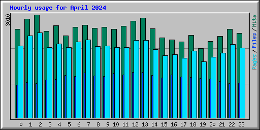 Hourly usage for April 2024
