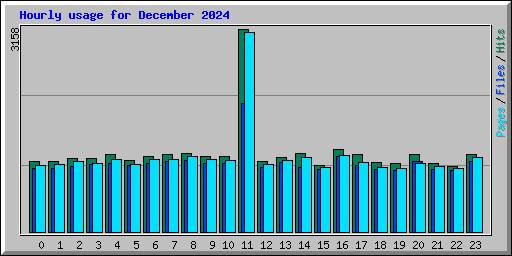 Hourly usage for December 2024