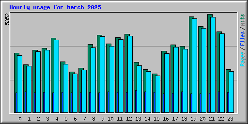 Hourly usage for March 2025