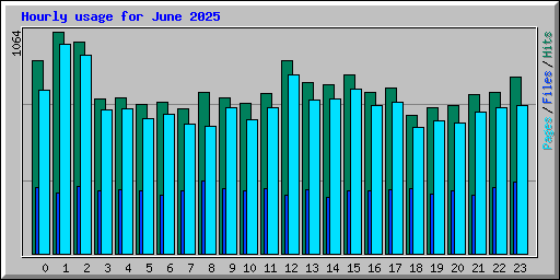 Hourly usage for June 2025