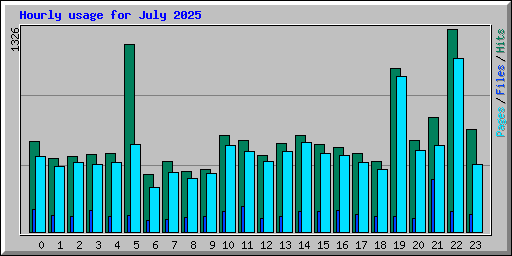 Hourly usage for July 2025